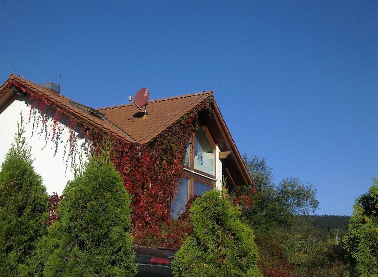 Ferienhaus Am Loeffelberghuettchen Gießübel Exterior foto